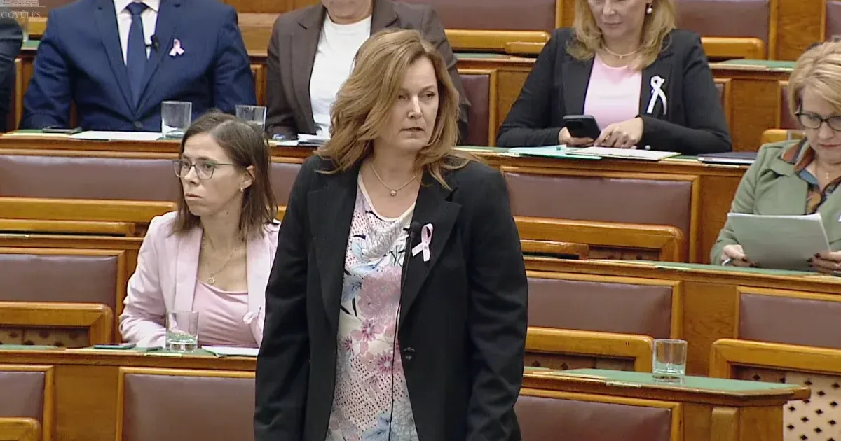 Fideszes képviselő parasztot kiáltott az ellenzéknek az Országgyűlésben