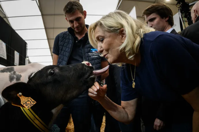 Marine Le Pen kampánykörútjának egyik állomásán 2026. október 7-én – Fotó: Jeff Pachoud / AFP