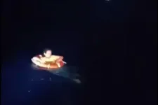 Egy nap után mentettek ki egy nőt a tengerből, aki egy hajóról a tengerbe ugrott