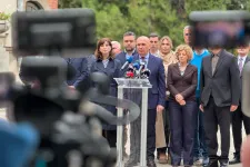 Nem egyhangúlag, de megszavazta a PNL vezetősége, hogy támogassák a Niculescu-kormány beiktatását