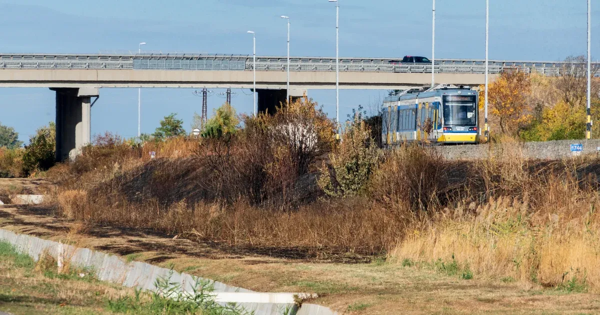 A MÁV vitatja, hogy egy tehervonat okozta volna az algyői avartüzet