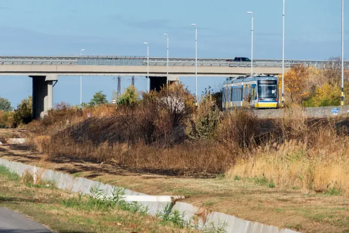 A MÁV vitatja, hogy egy tehervonat okozta volna az algyői avartüzet