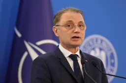 Luca Niculescu a besztercei késelésre reagálva növelné az oktatási intézmények biztonságát