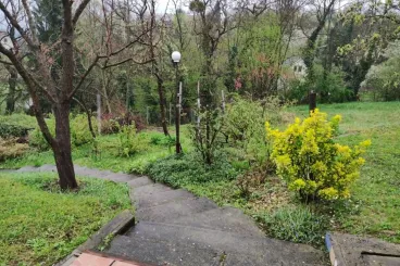 Nagy telek kevés pénzért? Van egy kategória, ahol ez még mindig működik