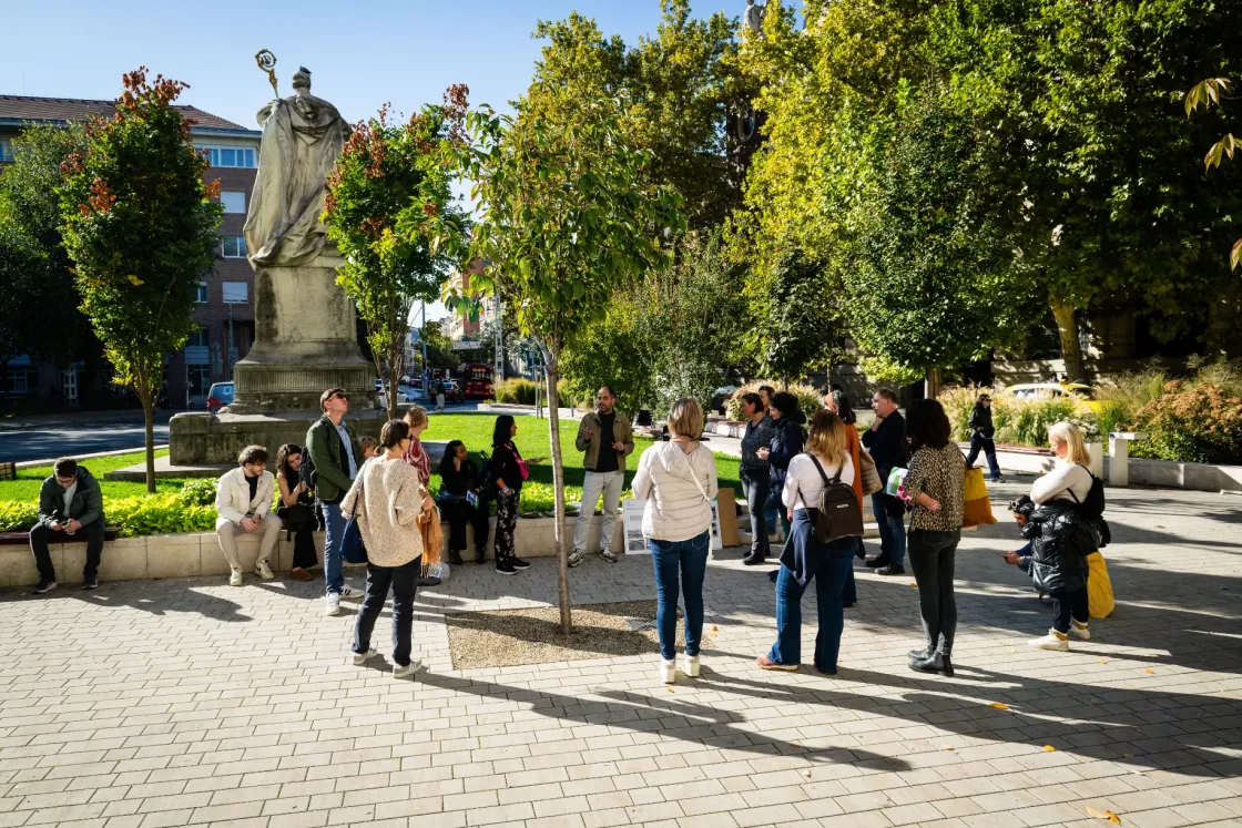 Guantánamóból szivacsvárosba – így élhetnek túl a városi fák a Stockholm módszerrel, és így élhetünk túl mi is