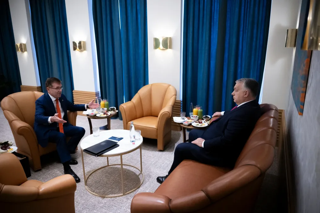 Former governor of Hungarian central bank in custody