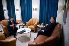 Former governor of Hungarian central bank in custody