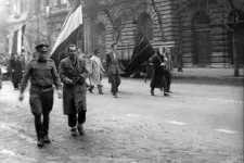 Magyarország, 1956: Forradalom, szabadságharc, megtorlás