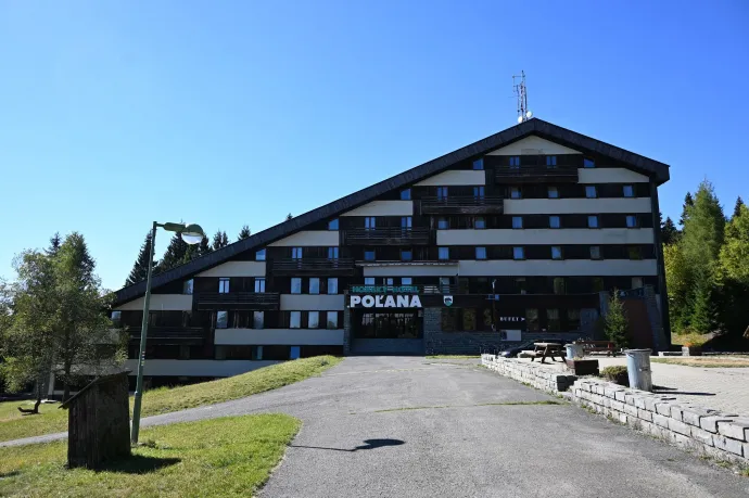 Belépés a medvék birodalmába, juhnyáj kutyákkal, az üres erdei hotel és a Polyána felső, védett rétjei – Fotó: Tenczer Gábor / Telex