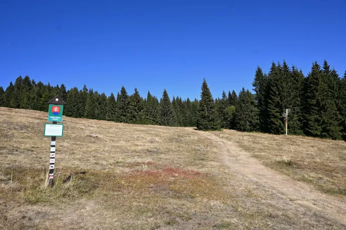 Belépés a medvék birodalmába, juhnyáj kutyákkal, az üres erdei hotel és a Polyána felső, védett rétjei – Fotó: Tenczer Gábor / Telex