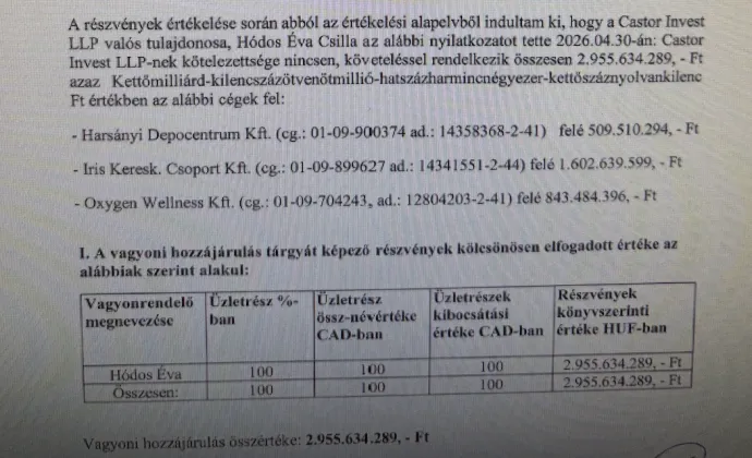 Részlet az alapításhoz készült vagyonértékelési dokumentumból