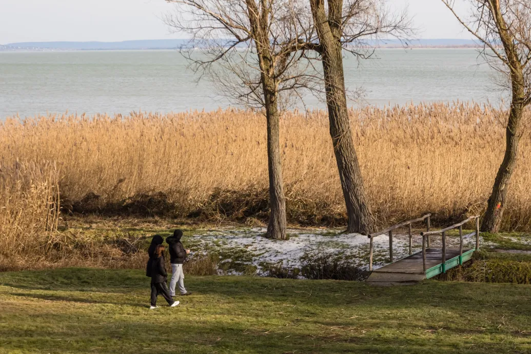 Markológéppel irtotta a védett nádast a Balaton-parton, elkapták