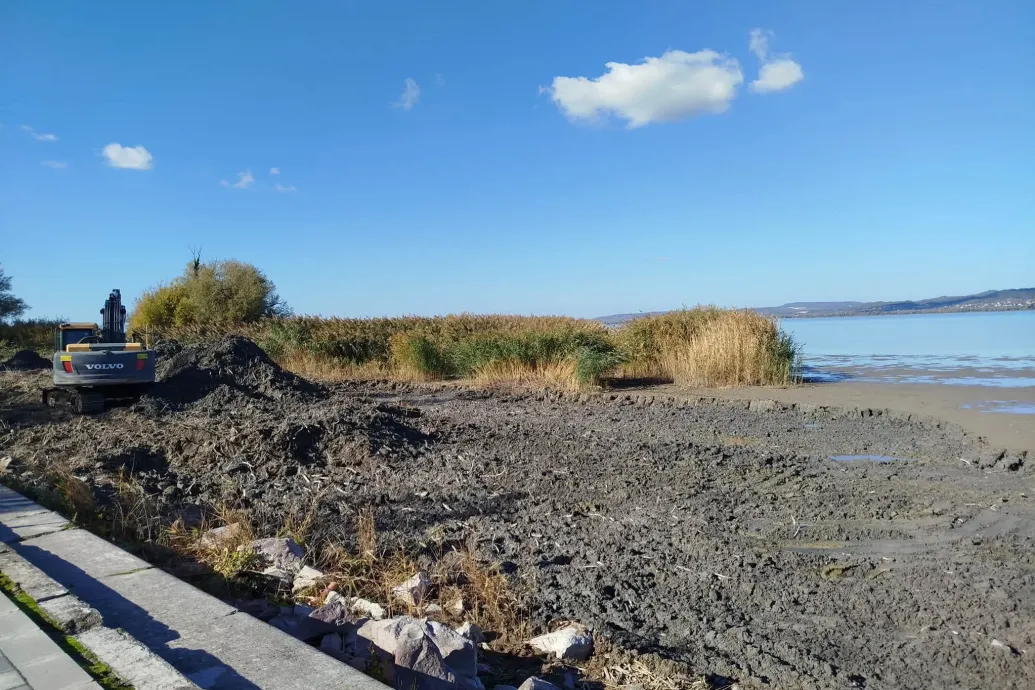 Gajdos László szerint nem maradhat következmények nélkül a balatonberényi nádasirtás